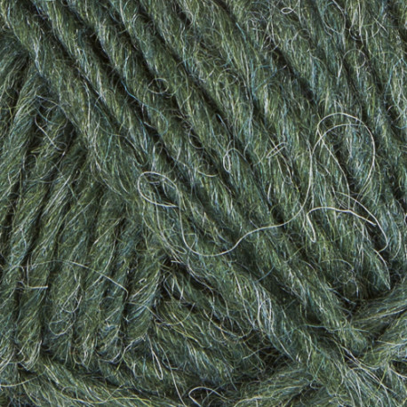 Léttlopi - Lyme grass - 1706