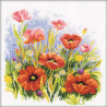 Poppies