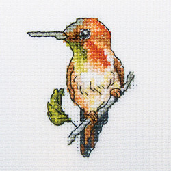 Hummingbird - Kolibri