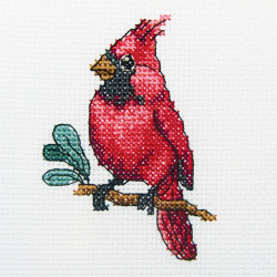 Cardinal Bird - Röd Kardinal