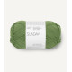 Sunday - Vineyard Green - 8753