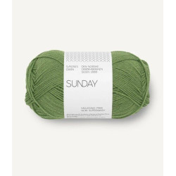 Sunday - Vineyard Green - 8753