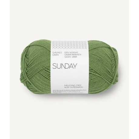 Sunday - Vineyard Green - 8753