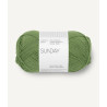 Sunday - Vineyard Green - 8753