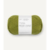 Tynn Peer Gynt - Matcha - 9564
