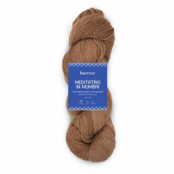 Meditating in Mumbai - Cocoa - 202