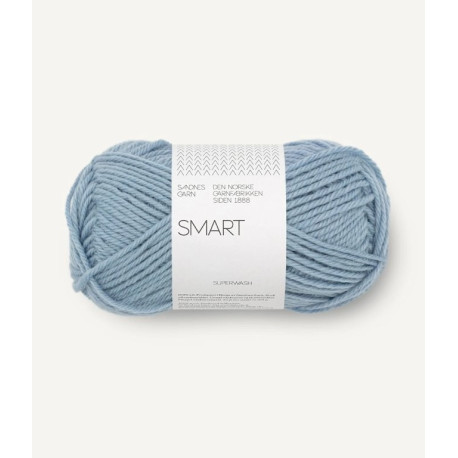 Smart - Blue Hydrangea - 6032