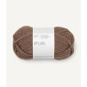 Atlas - Acorn - 3161