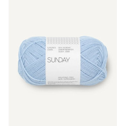 Sunday - Brunnera Blue - 5812