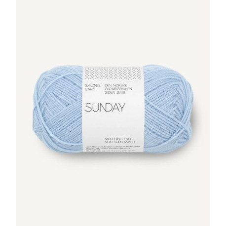 Sunday - Brunnera Blue - 5812