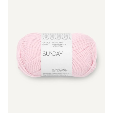 Sunday - Ballet Rose - 4511