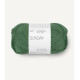 Sunday - Elm Green - 8073