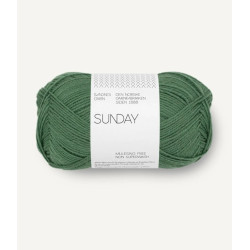 Sunday - Elm Green - 8073