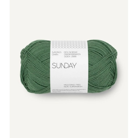 Sunday - Elm Green - 8073