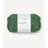 Sunday - Elm Green - 8073